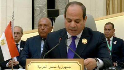 الرئيس السيسي: المنطقة تمر بظروف قاسية والحفاظ على المؤسسات الوطنية أمر ضرورى