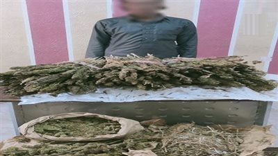 الداخلية تضبط تاجر الكيف قبل ترويجه 20 كجم هيدرو في شمال سيناء