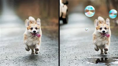 شركة أدوبي تدخل مجال الذكاء الاصطناعي بميزة فريدة في برامجها