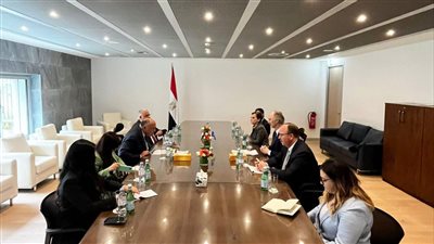 وزير الخارجية يلتقي مبعوث الأمم المتحدة الخاص إلى سوريا