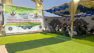 الزراعة توزع 120 كبشا من الأغنام البرقي على مربي الثروة الحيوانية بمطروح