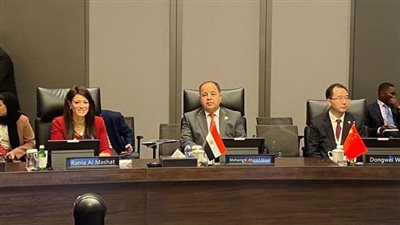 وزير المالية: القطاع الخاص «قاطرة نمو» الاقتصادات الناشئة