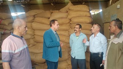 ضبط 42 طن قمح مخبأة للاحتكار في سمالوط