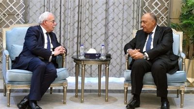 الخارجية: مصر تتابع بقلق بالغ الأوضاع بالأراضي الفلسطينية المحتلة