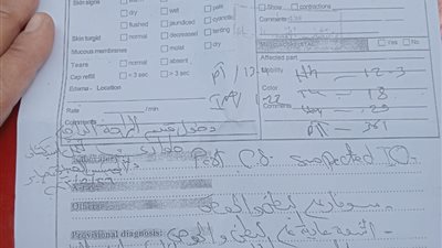 بسبب خطأ طبي طبيب زفتي يحول حياة 