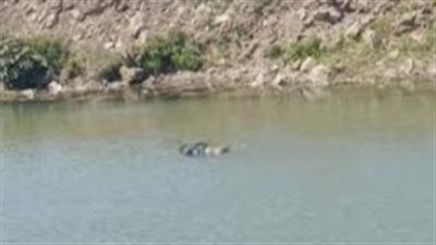 انتشال جثة شاب غرق في مياه نهر النيل بمنشأة القناطر 