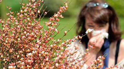 كيف تواجه حمى القش أكثر أمراض الربيع انتشارًا؟