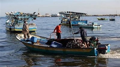 أسباب قرار حظر الصيد في محافظة البحر الأحمر