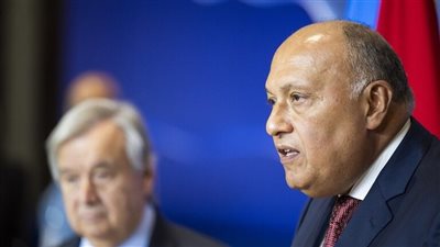 وزير الخارجية يبحث 