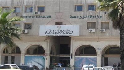 وظائف قيادية في وزارة الزراعة لعام 2024.. اعرف الشروط المطلوبة
