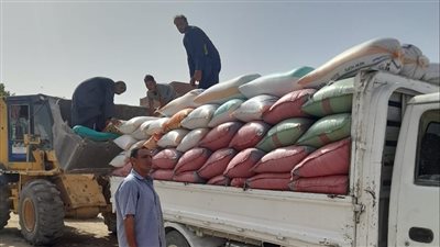 ضبط 18 طن قمح مخزنة بغرض الاحتكار في ملوي