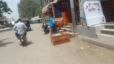 تحرير 80 محضر إشغال خلال حملة موسعة على مركز بني مزار بالمنيا