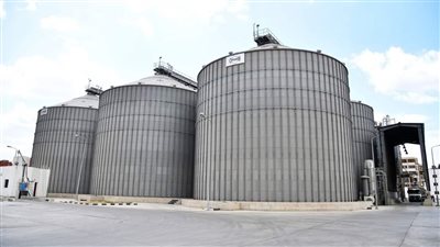 محافظ الغربية يكشف حصيلة ما تم توريده من القمح اليوم بصوامع المحافظة