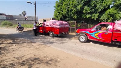 ضبط 5 أطنان قمح معدة للاحتكار وتسليمها للمطاحن بالمنيا