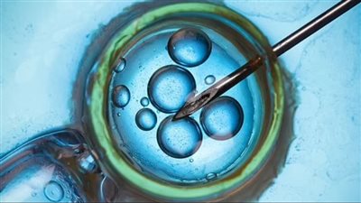 تحذير من تكوين أجنة بشرية اصطناعية.. لها نتائج تقشعر لها الأبدان!