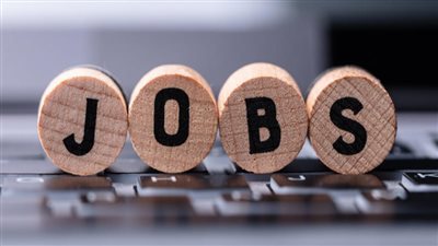 براتب يبدء من 3000 جنيه.. وظائف خالية لشباب الدقهلية