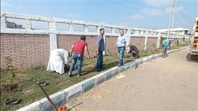 زراعة أشجار مثمرة باستاد شربين الرياضي ضمن المبادرة الرئاسية