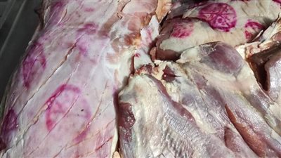 حملات موسعة وراء ضبط 4 طن لحوم وأسماك فاسدة بالمنوفية