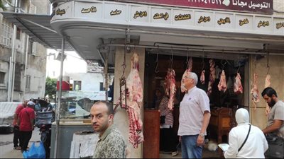 حملات مكثفة بجميع أحياء الإسكندرية 