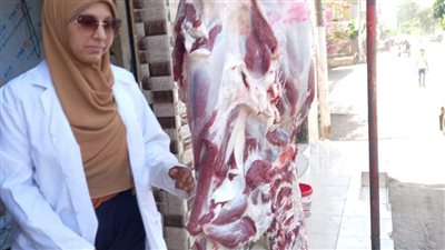 تحرير 92 محضرا خلال لجان تفتيشية مكثفة على الأسواق بالغربية 