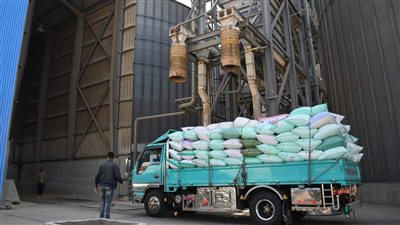 محافظ الغربية يكشف حصيلة ماتم توريده من القمح اليوم