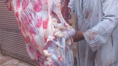 استمرار عمل منافذ بيع اللحوم والأضاحي بأسعار مخفضة في قرى ومراكز المنيا