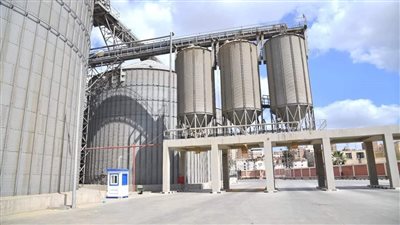 محافظ الغربية يكشف حصيلة ما تم توريده من القمح لمخازن الغربية