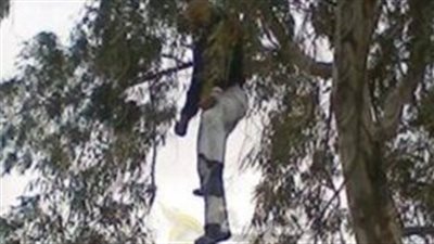 تحركات عاجلة بشأن العثور على جثة شخص مشنوقا على شجرة بالغربية