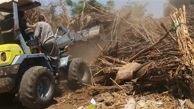 محافـظ المنوفية: إزالة فورية لـ30 حالة تعدى على الأراضى الزراعية 