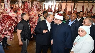  توزع 35 طن لحوم أضاحي على الأسر الأولى بالرعاية الأسبوع المقبل.. مستند