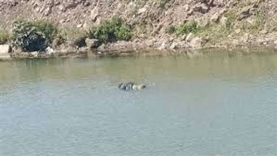 الأمن يكشف لغز العثور على جثة شاب طافية بنهر النيل في سوهاج