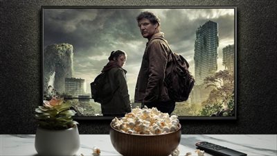 حقيقة فطر الزومبي الذي يصيب النمل ويمكن أن يقضي على البشرية