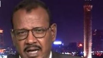 كاتب سوداني: ترحيب رسمي وشعبي سوداني لاستضافة مصر قمة دول الجوار
