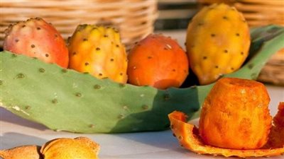 منافع صحية وفوائد لا حصر لها للتين الشوكي 