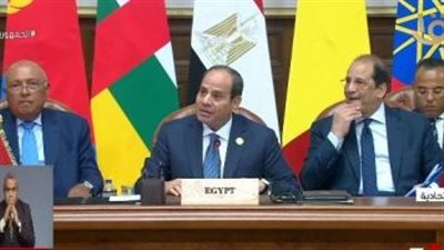 الرئيس السيسي: مشاهد الخراب والدمار والقتل في السودان تدمي قلوب المصريين