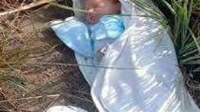 مباحث قنا تكثف جهودها لكشف غموض العثور على رضيعة داخل الزراعات