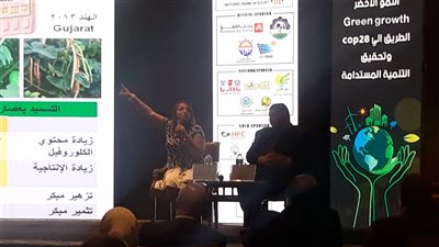 الصعيد للمواد الغذائية: مصر الأفضل في التغيرات المناخية.. والخارج يحتاج لصادراتنا