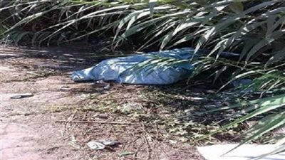استدراج سيدة وقتلها ذبحًا وسط الزراعات في نجع «الغفير» بسوهاج
