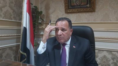 «برلماني»: مصر تسعى دائما لتعميق وتحقيق التكامل الاقتصادي والتنمية بالقارة الإفريقية