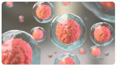 علماء بجامعة هارفارد يكتشفون إكسير الشباب الذي يقضي على الشيخوخة