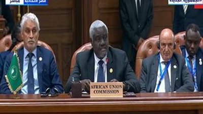 البيان الختامي لقمة دول جوار السودان: أهمية الحفاظ على الدولة ومؤسساتها