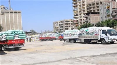 محافظ الغربية يعلن أخبارا سارة بشأن تحقيق المستهدف من توريد القمح 