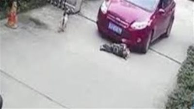 مصرع طفل صدمته سيارة في قرية بقنا 