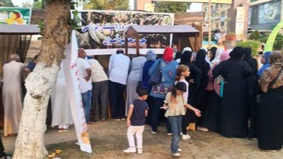 محافظ أسوان: توافد أكثر من 10 ألاف زائر على مهرجان المانجو