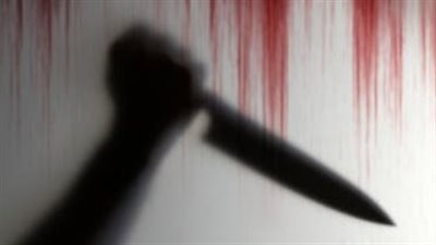 البحيرة.. إحالة أوراق قاتل معلمة والتمثيل بجثتها للمفتي 