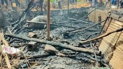 نفوق 6 مواش إثر حريق حظيرة بالجمالية في الدقهلية