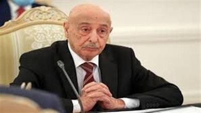 البرلمان الليبي يعتمد خارطة الطريق المقترحة لتكوين حكومة جديدة