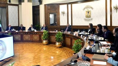 رئيس الوزراء يلتقي رئيس شركة 