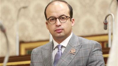 برلماني: الجلسات المتخصصة بالحوار الوطني بداية حقيقية لترجمة مناقشات الجلسات العامة