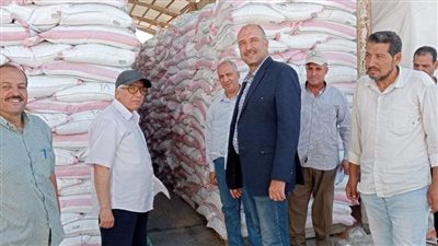 تفاصيل تحركات مسؤولي الزراعة لمتابعة تجهيز تقاوي القمح بمحطات الإعداد